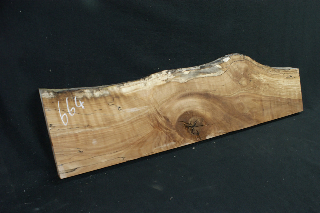 Spalted Beech 1186 L x 320-234 W x 47 D (mm) (664)