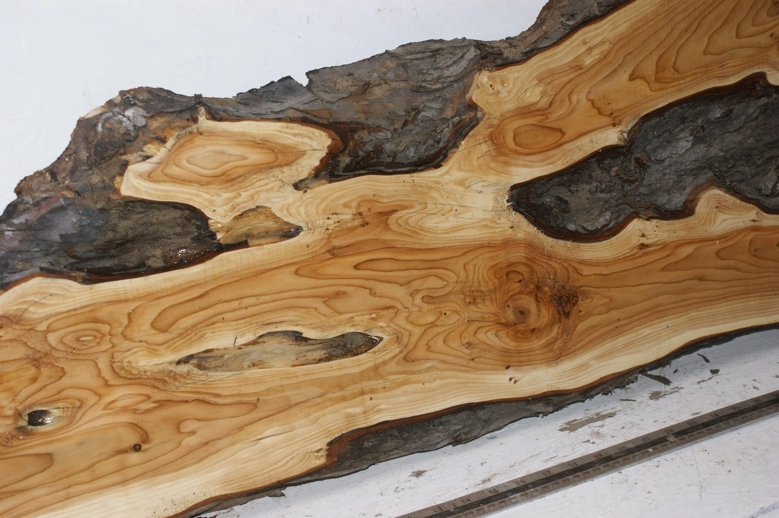 English Yew 1660 L x 495-115 W x 35 D (mm) (151)