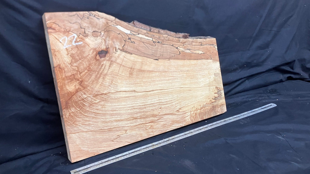 Spalted Beech timber, plank, board 716 L x 489 W x 53 D (mm) (22)