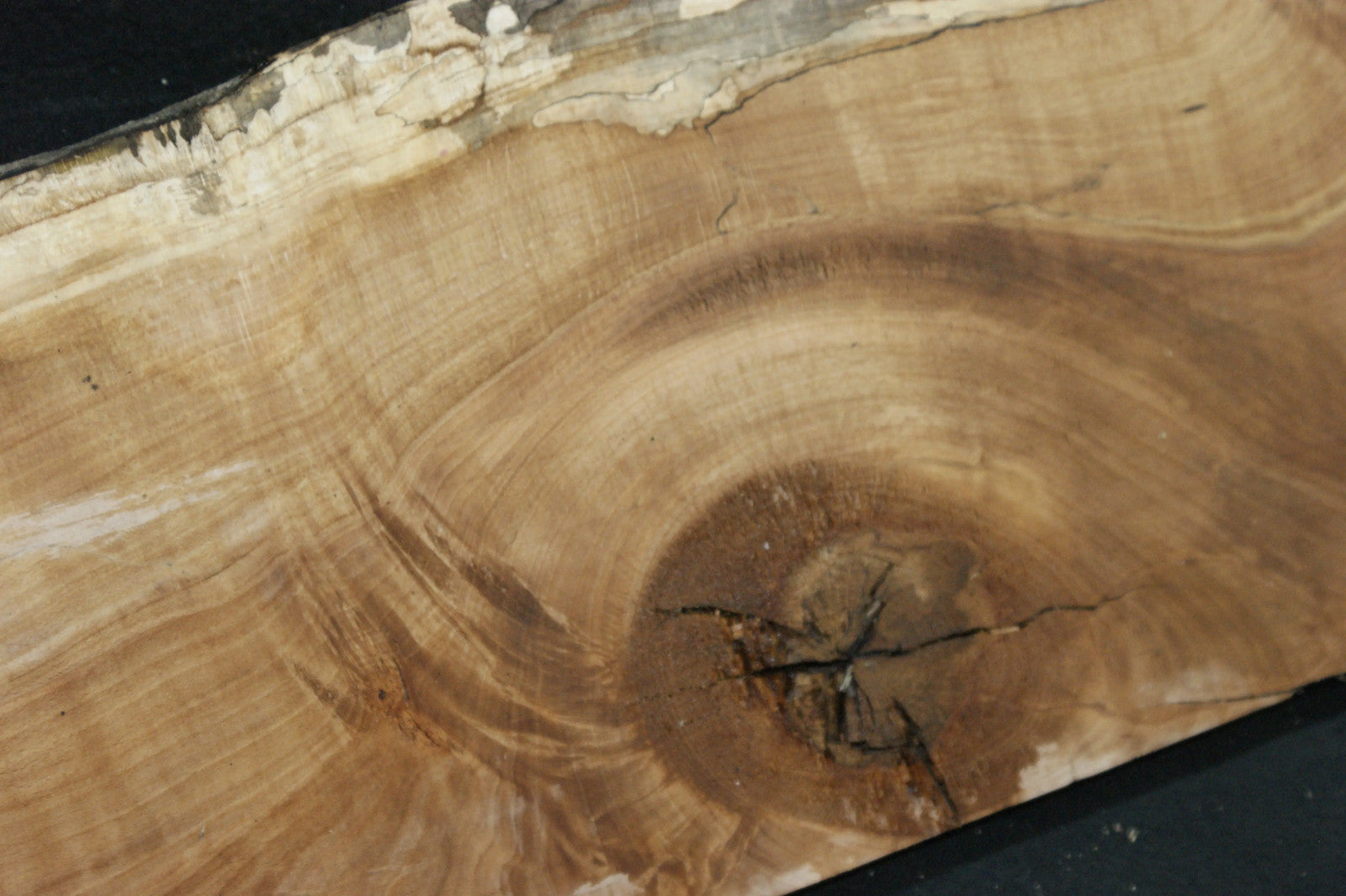 Spalted Beech 1186 L x 320-234 W x 47 D (mm) (664)