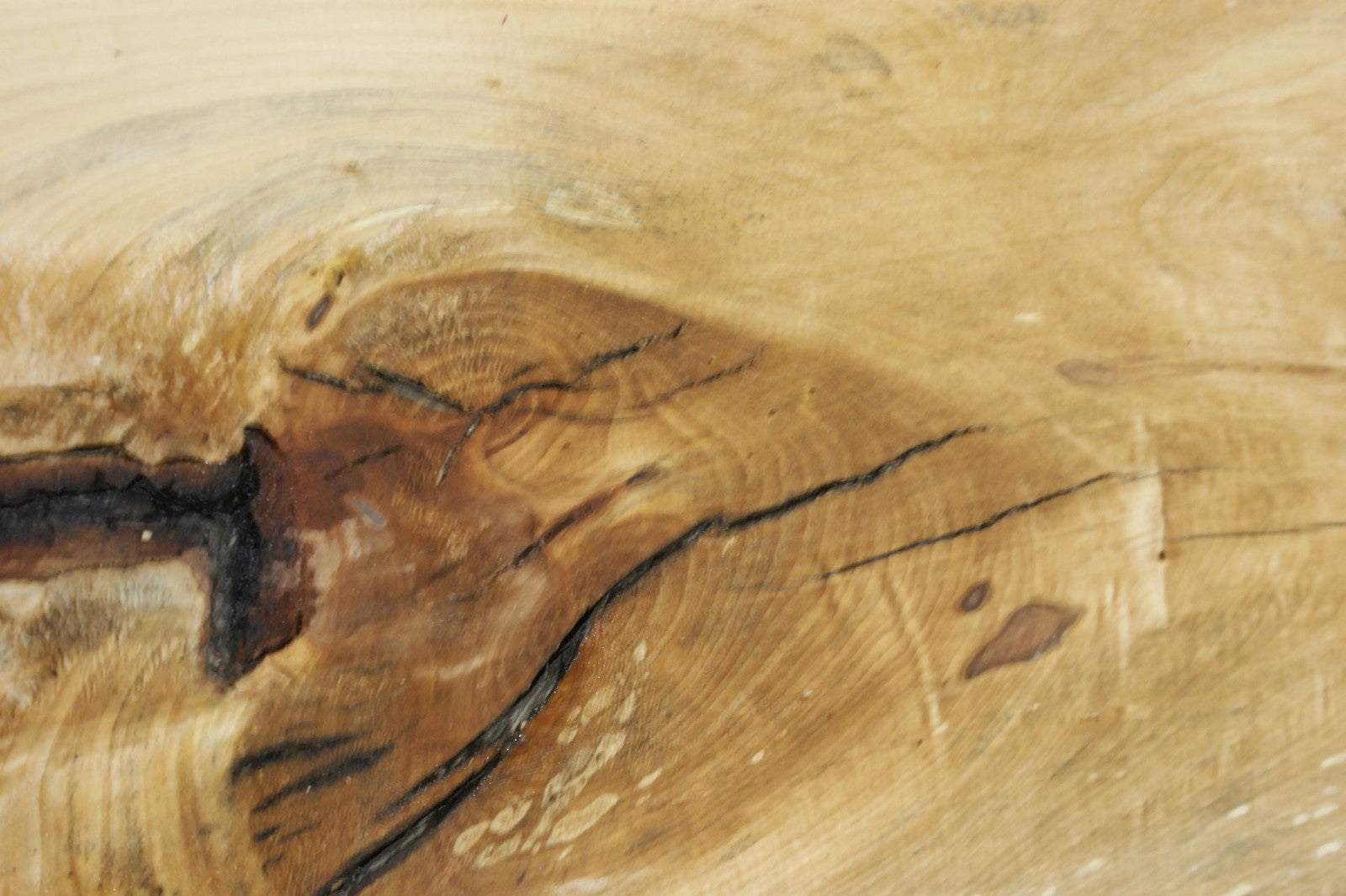 Lime Wood  1204 L x 460 - 352 W x 30 D (mm) (633)