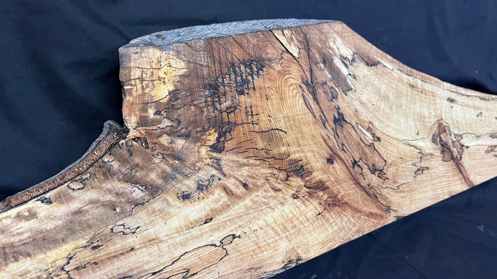 Spalted Beech timber, floating shelf, board 1190 L x 280 W x 47 D mm (262)
