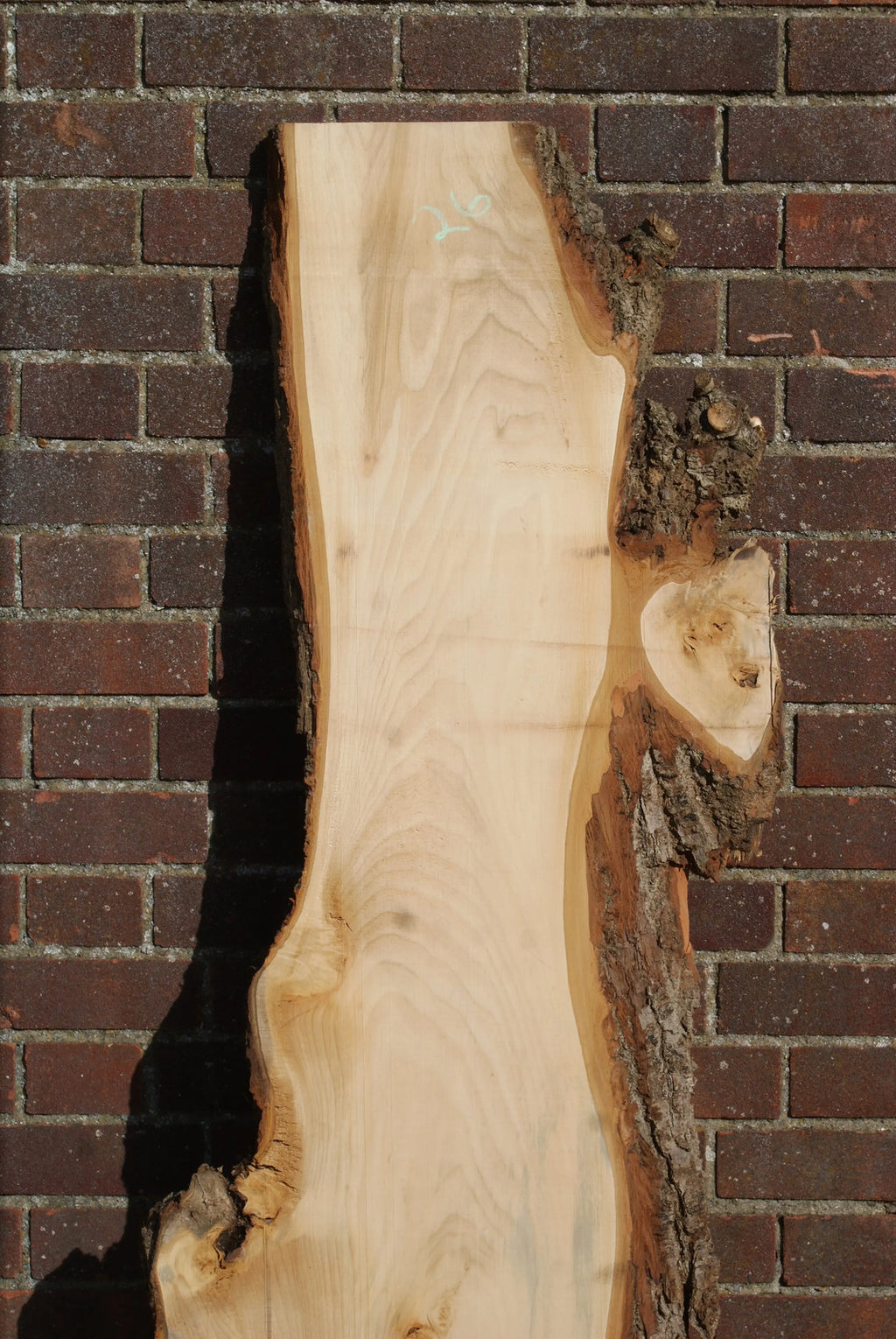 Lime 1857 L x 485 - 260 W x 37 D (mm) (26)