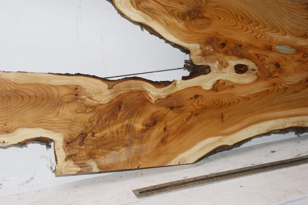 English Yew 1660 L x 495-115 W x 35 D (mm) (151)