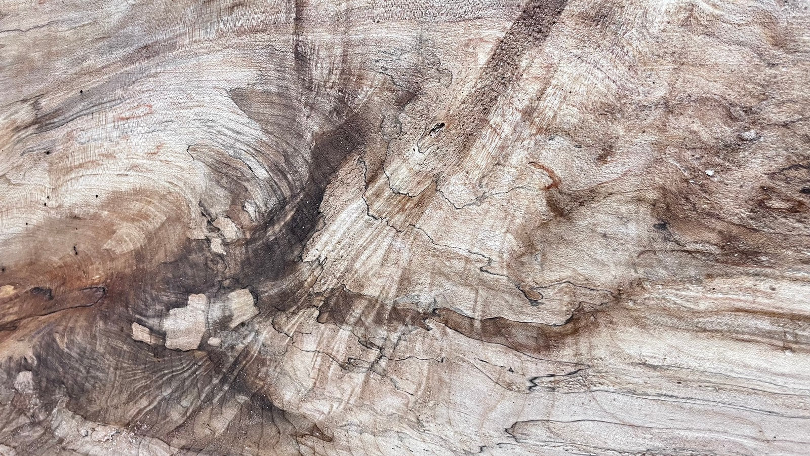 Sycamore wide plank, slab wood 1033 L x 507 W x 47 D (mm) (304)