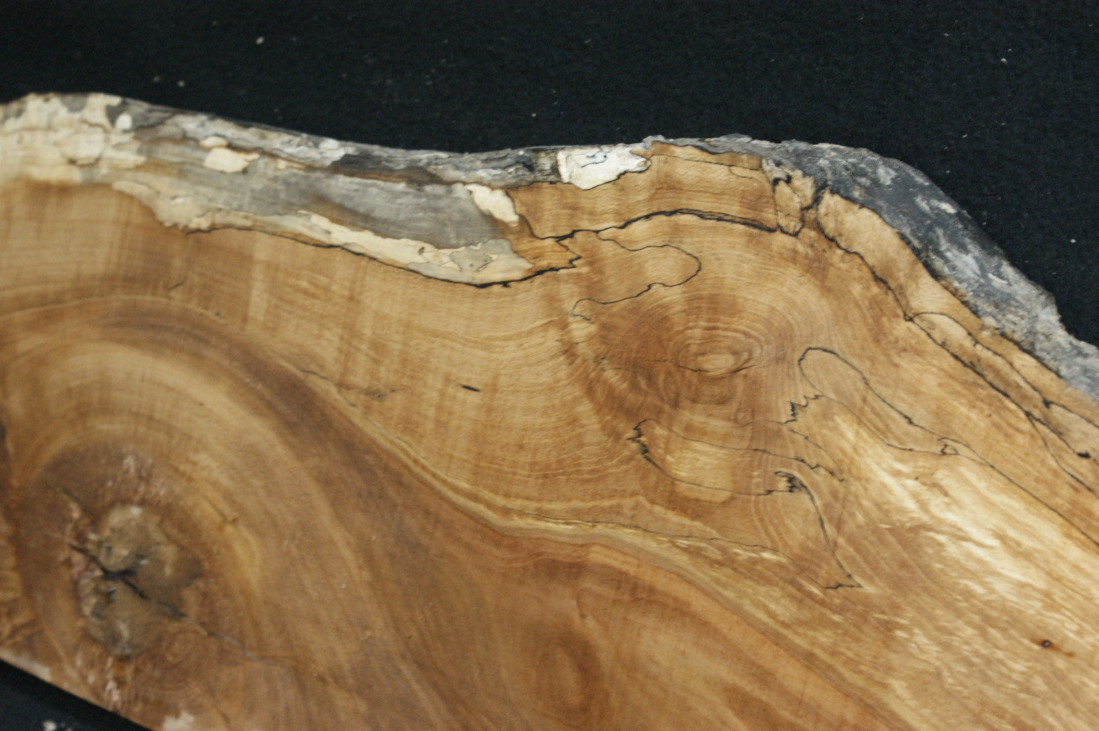 Spalted Beech 1186 L x 320-234 W x 47 D (mm) (664)