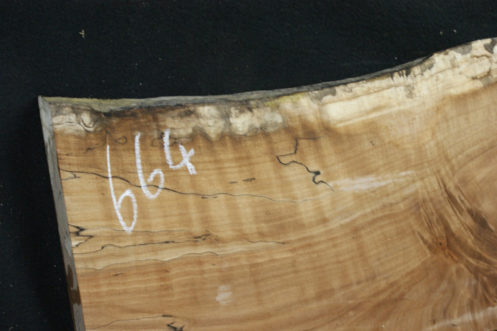 Spalted Beech 1186 L x 320-234 W x 47 D (mm) (664)