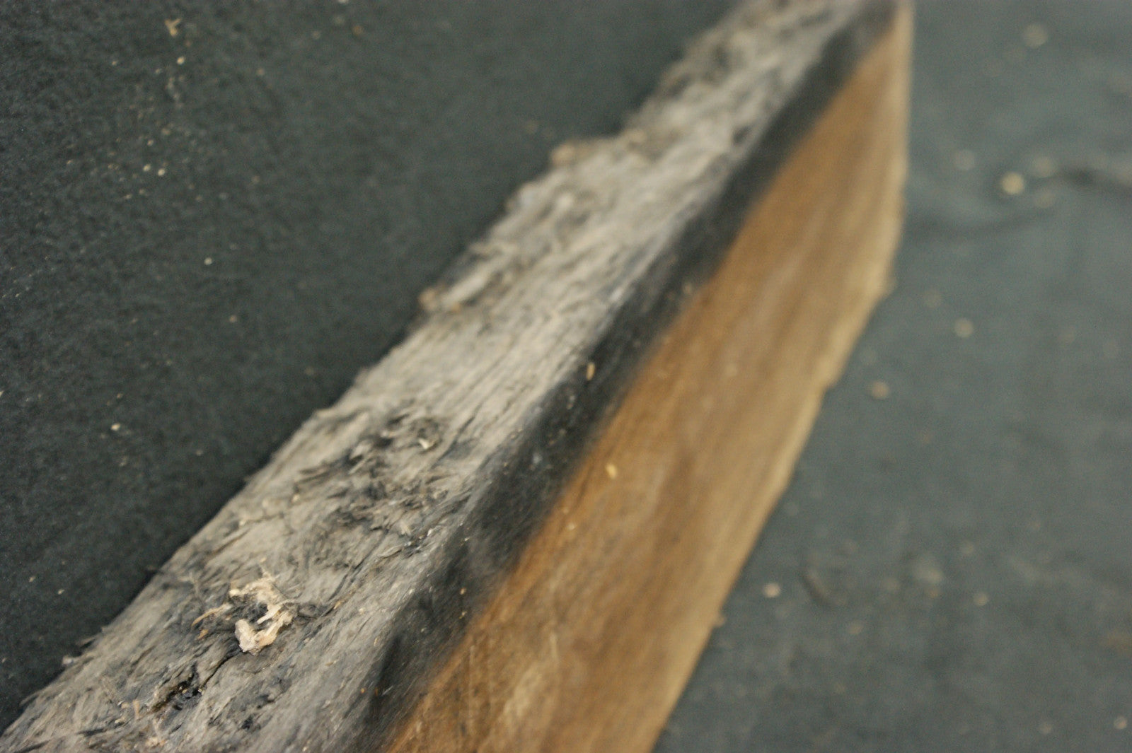 Bog Oak 895 L x 145-0 W x 80-65 D mm (587)