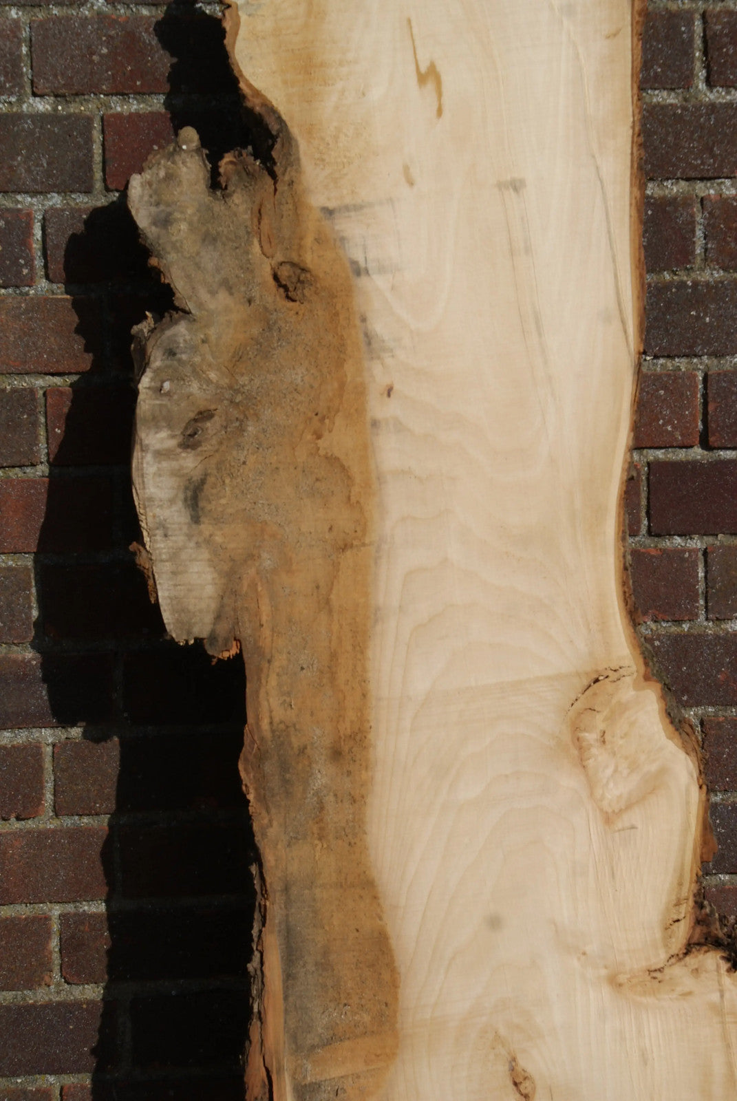 Lime 1857 L x 485 - 260 W x 37 D (mm) (26)