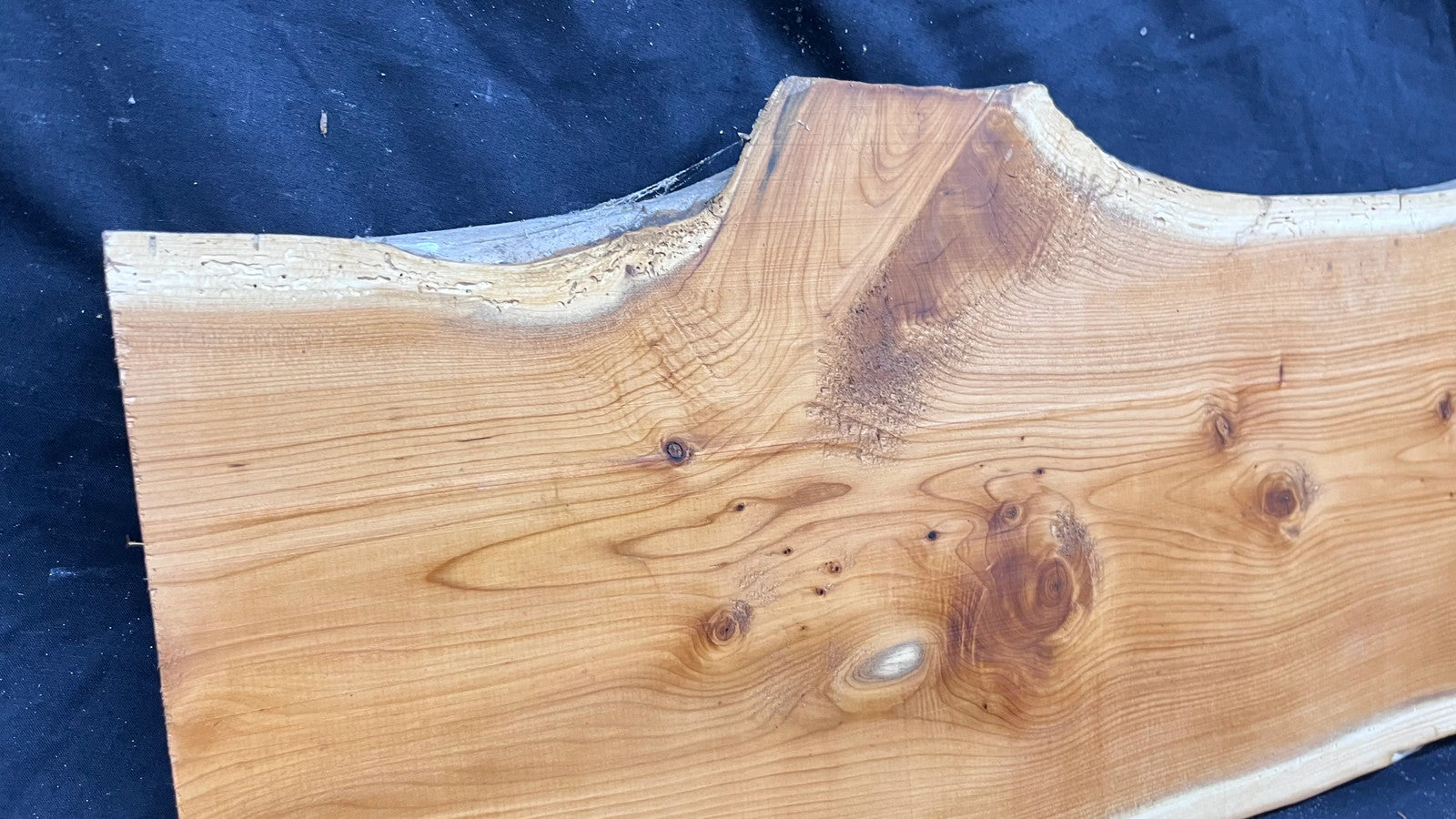 Hardwood yew, slab, board 971 L x 261 W x 37 D mm (324)