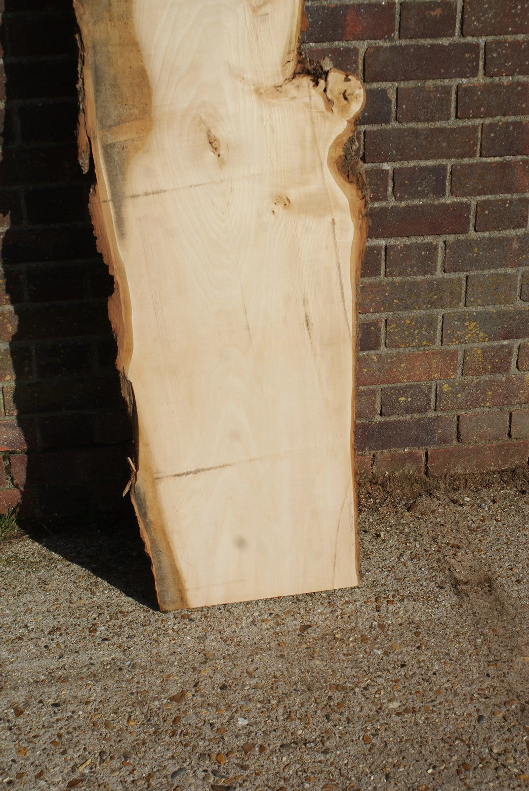 Lime 1857 L x 485 - 260 W x 37 D (mm) (26)