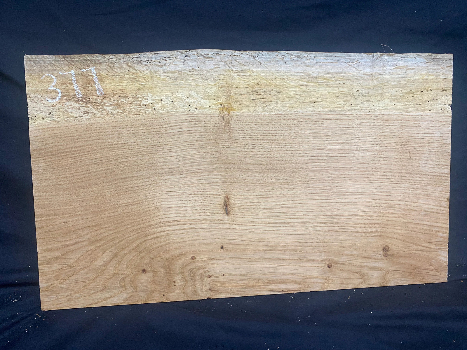 Solid oak plank, shelf, board 516 L x 304 W x 14 D mm (mf377)