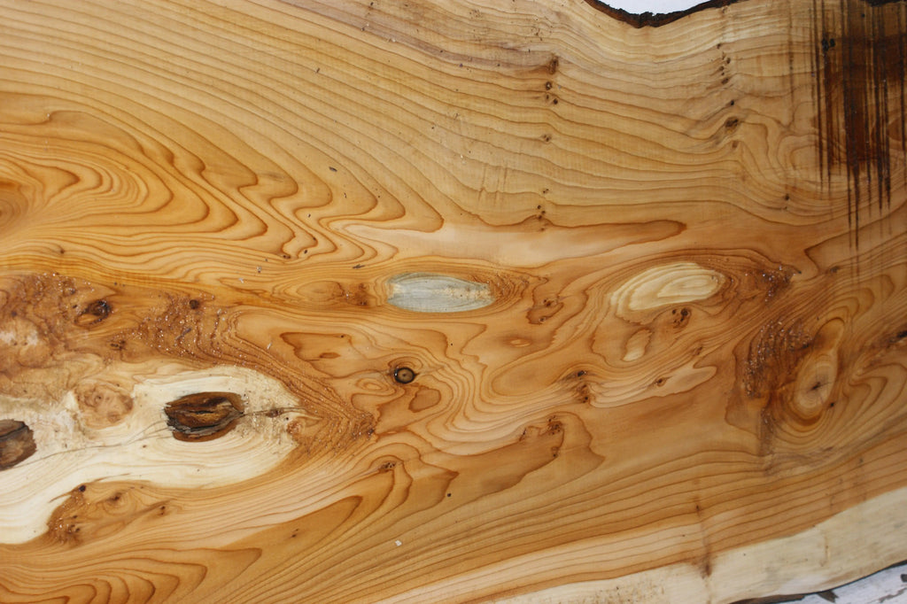 English Yew 1660 L x 495-115 W x 35 D (mm) (151)