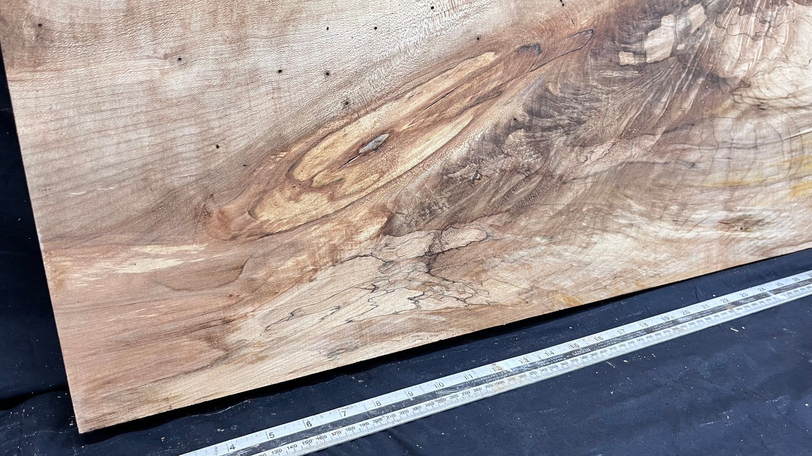 Sycamore wide plank, slab wood 1033 L x 507 W x 47 D (mm) (304)