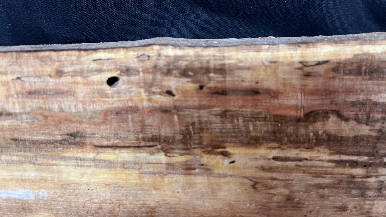 Spalted Beech timber, floating shelf, board 1190 L x 280 W x 47 D mm (262)
