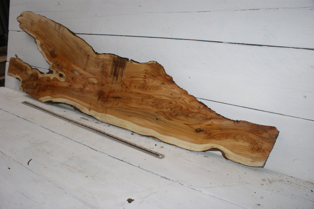 English Yew 1660 L x 495-115 W x 35 D (mm) (151)
