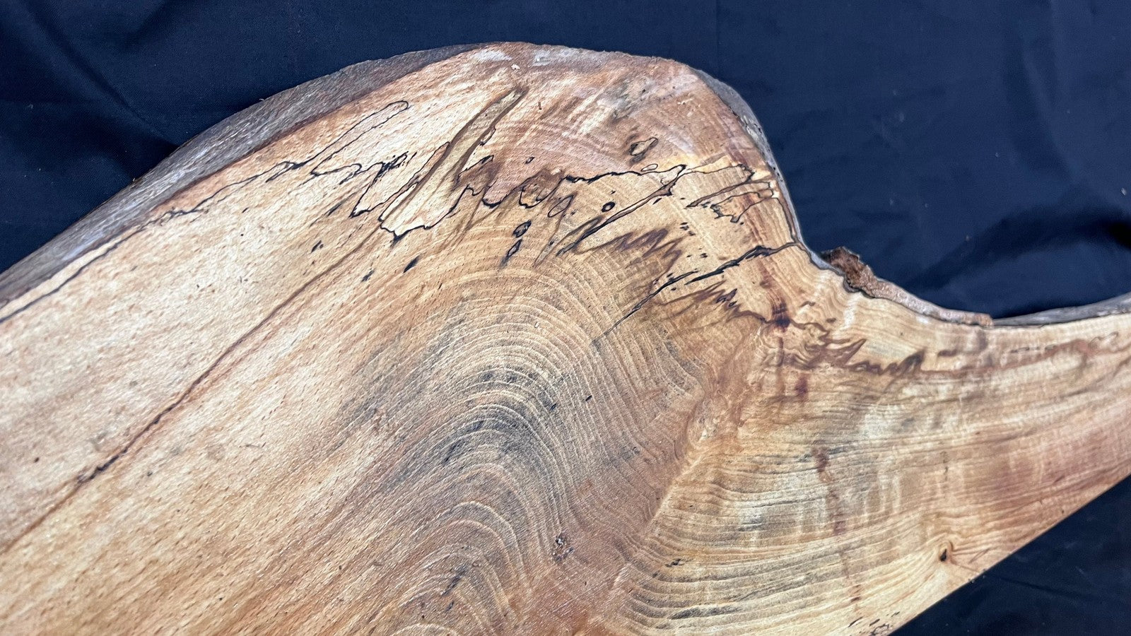 Spalted Beech timber, floating shelf, board 1190 L x 280 W x 47 D mm (262)