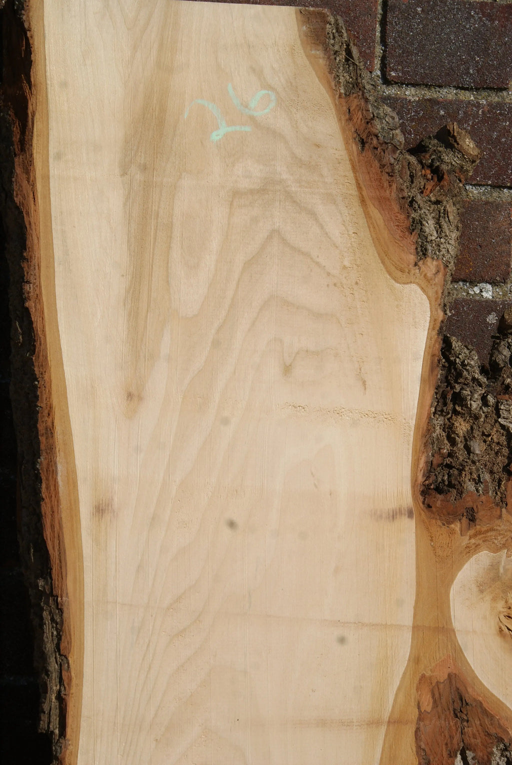 Lime 1857 L x 485 - 260 W x 37 D (mm) (26)