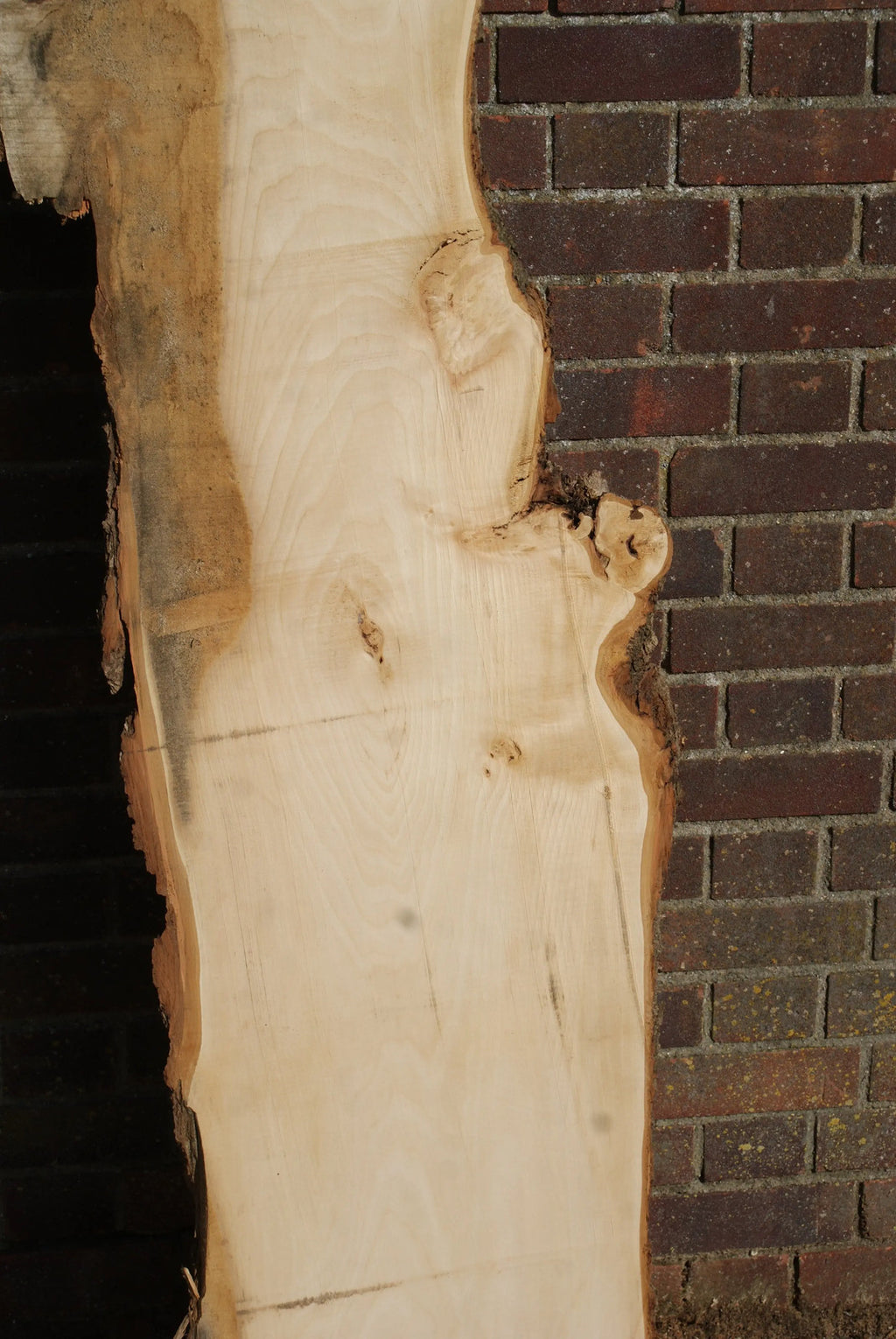 Lime 1857 L x 485 - 260 W x 37 D (mm) (26)