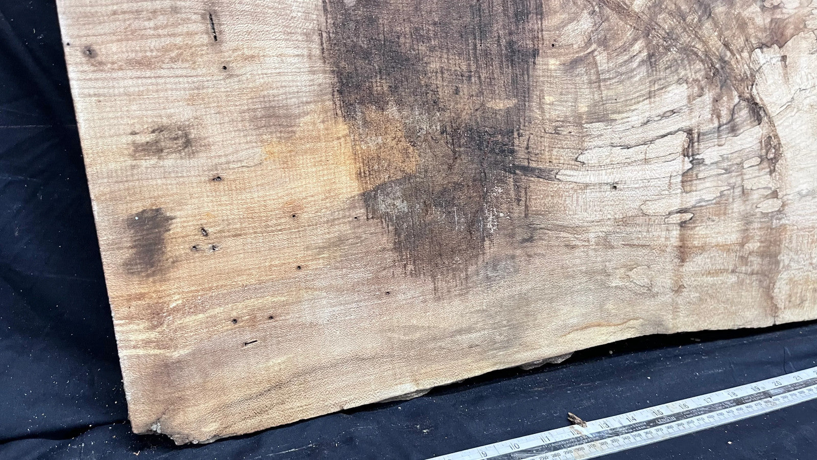 Sycamore wide plank, slab wood 1033 L x 507 W x 47 D (mm) (304)