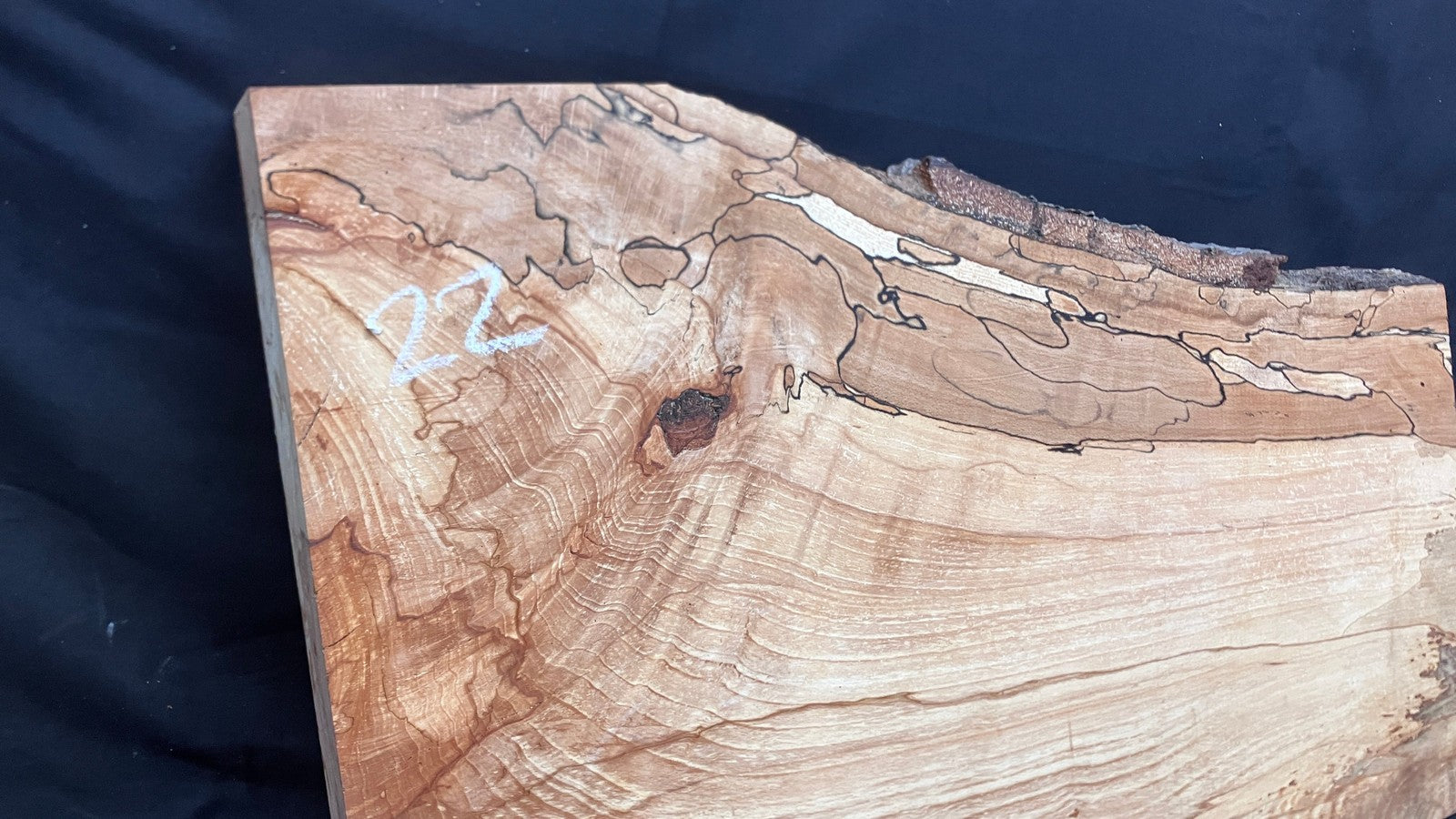 Spalted Beech timber, plank, board 716 L x 489 W x 53 D (mm) (22)