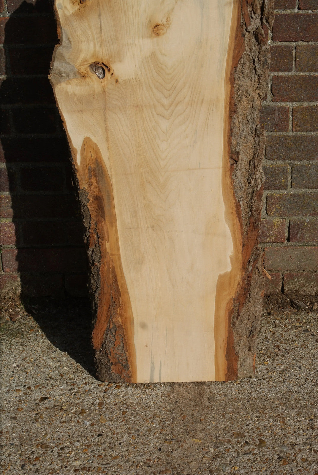 Lime 1857 L x 485 - 260 W x 37 D (mm) (26)