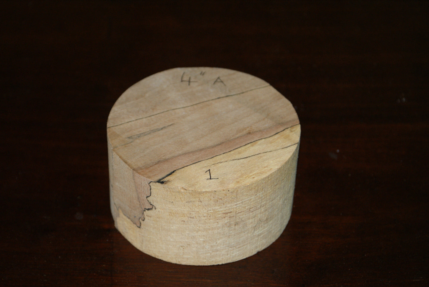 A Grade 4 x 2" spalted beech wood turning blank  (001)