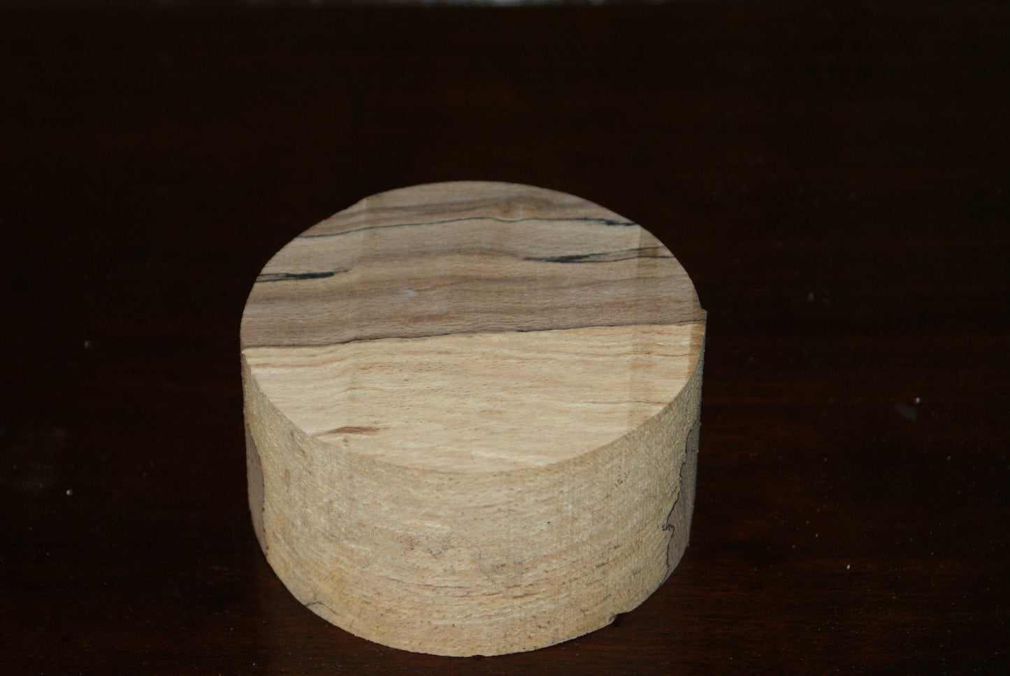 A Grade 4 x 2" spalted beech wood turning blank  (001)