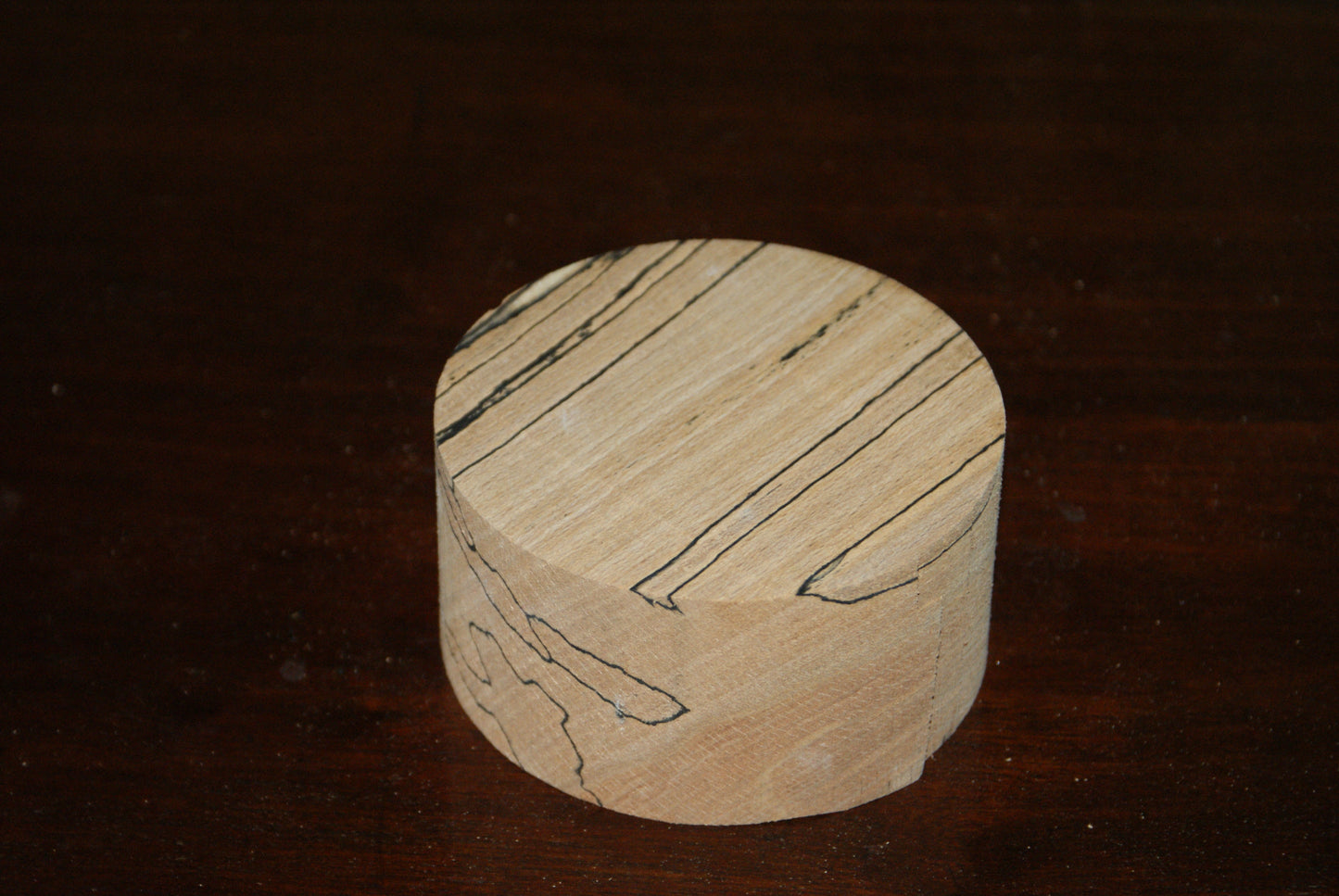 A Grade 4 x 2" spalted beech wood turning blank  (008)