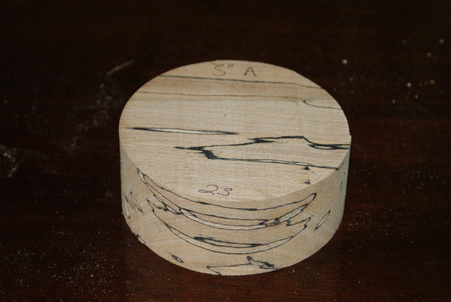 A Grade 5 x 2" spalted beech wood turning blank  (023)