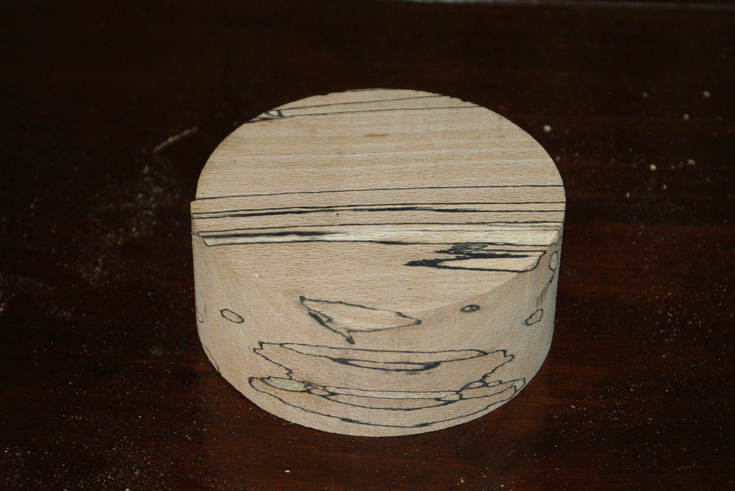 A Grade 5 x 2" spalted beech wood turning blank  (023)