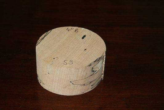 B Grade 4 x 2" spalted beech wood turning blank  (053)