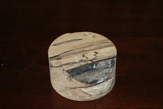 B Grade 4 x 2" spalted beech wood turning blank  (055)