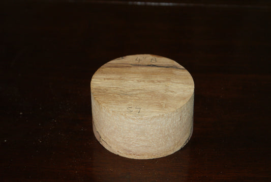 B Grade 4 x 2" spalted beech wood turning blank  (057)