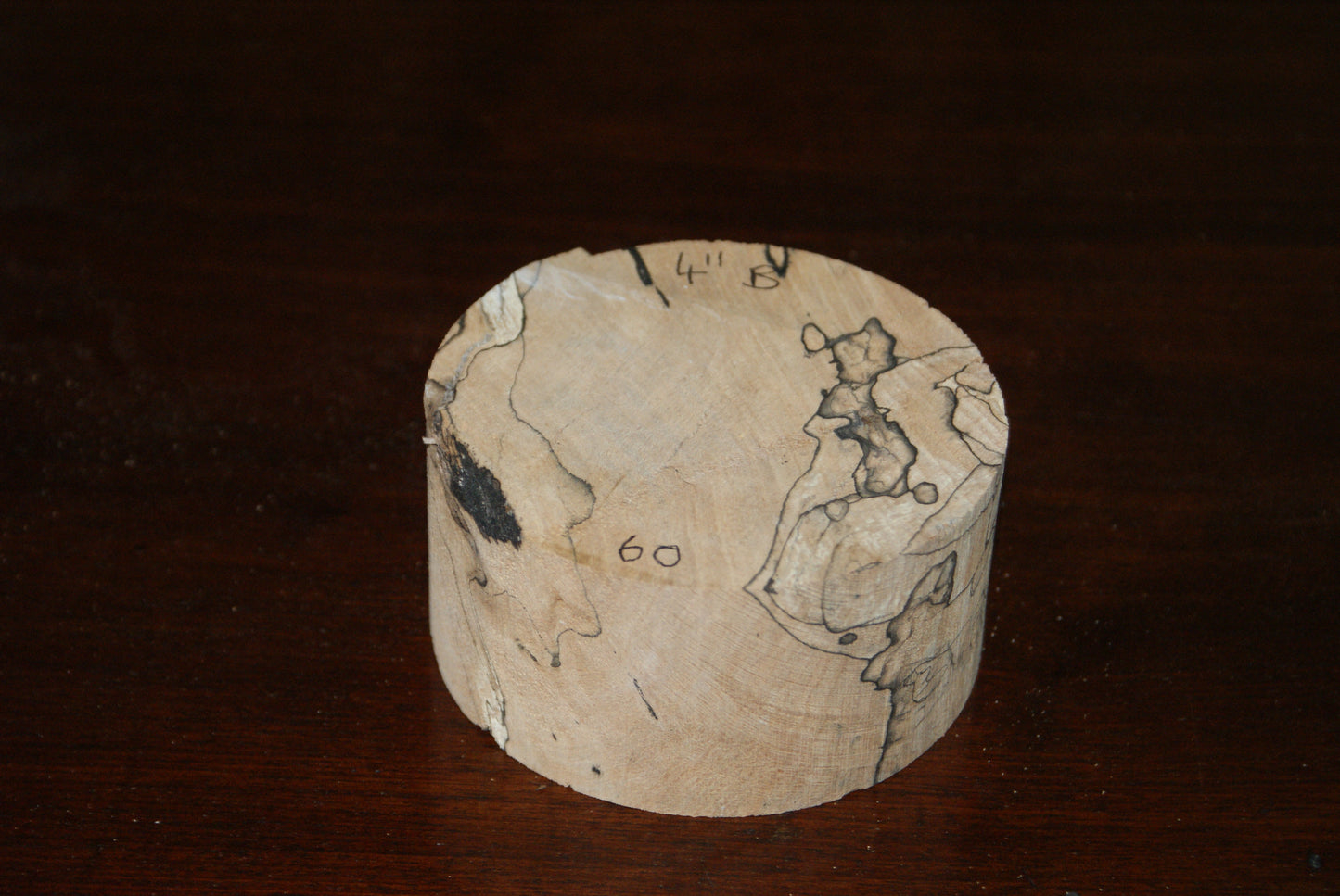 B Grade 4 x 2" spalted beech wood turning blank  (060)