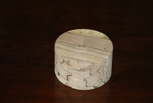 B Grade 4 x 2" spalted beech wood turning blank  (061)