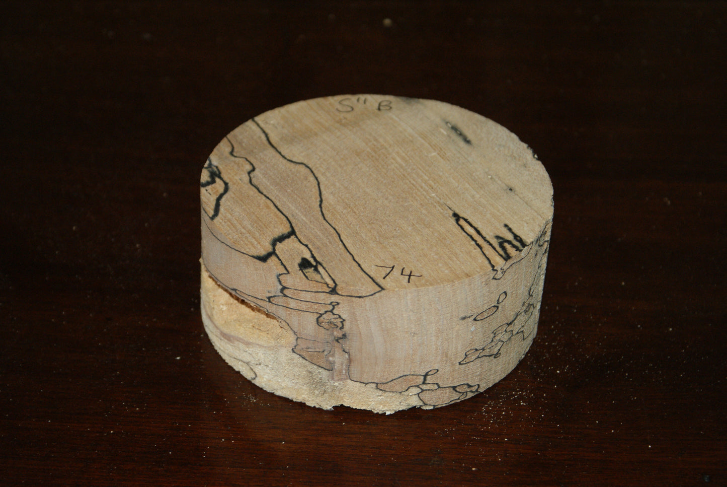 B Grade 5 x 2" spalted beech wood turning blank  (074)