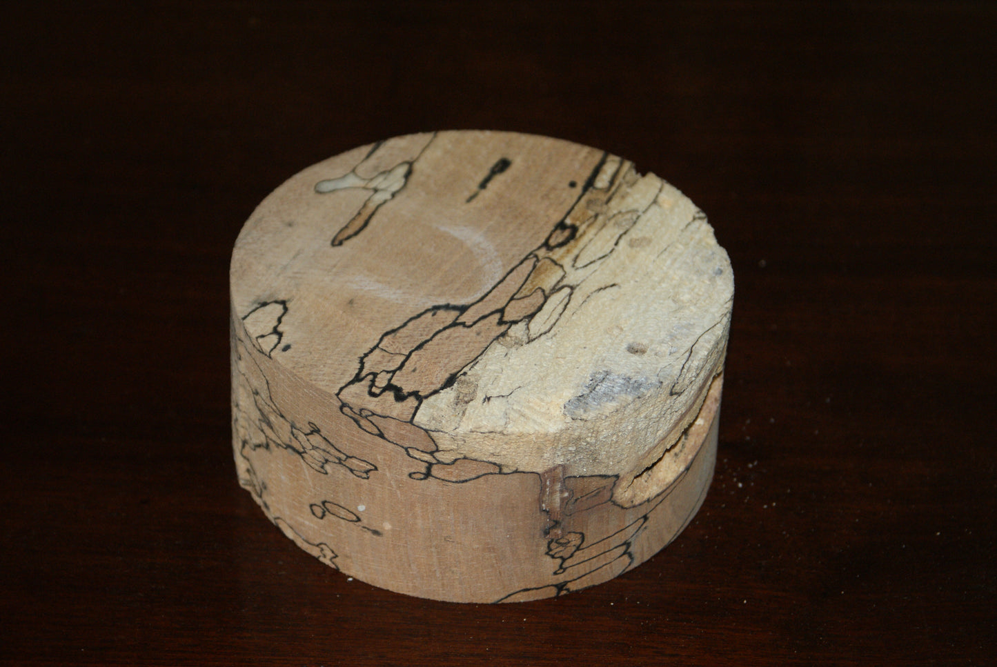 B Grade 5 x 2" spalted beech wood turning blank  (074)