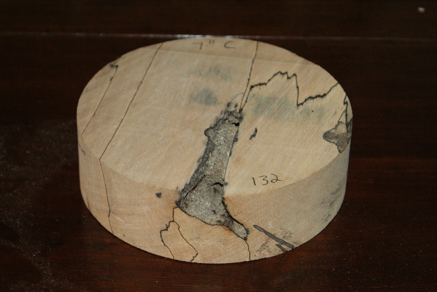 C Grade 7 x 2" spalted beech wood turning blank  (132)