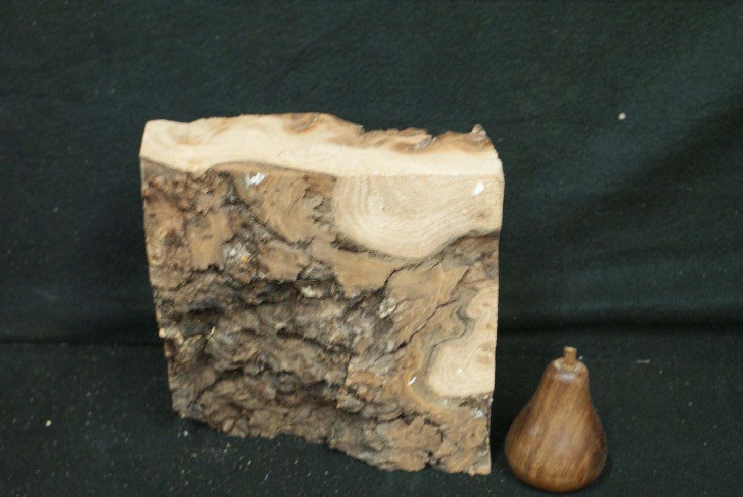 Elm Burr  8 L  x 8 W x 4 D Inches (12)