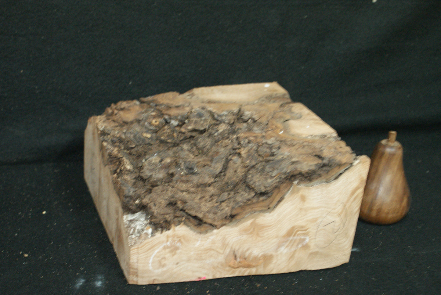 Elm Burr  8 L  x 8 W x 4 D Inches (12)