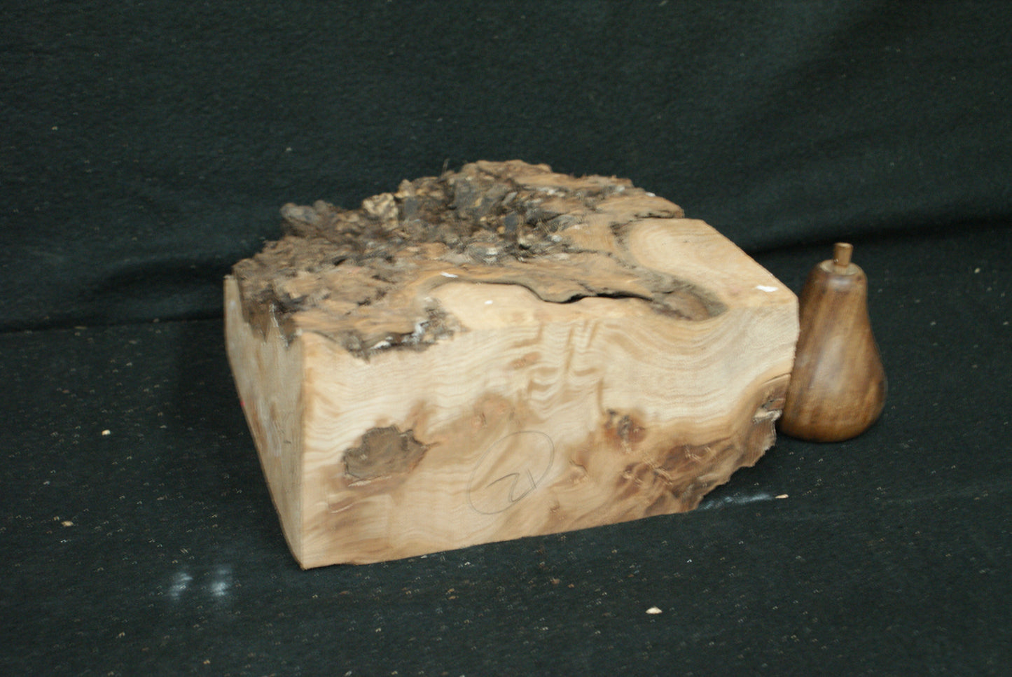 Elm Burr  8 L  x 8 W x 4 D Inches (12)