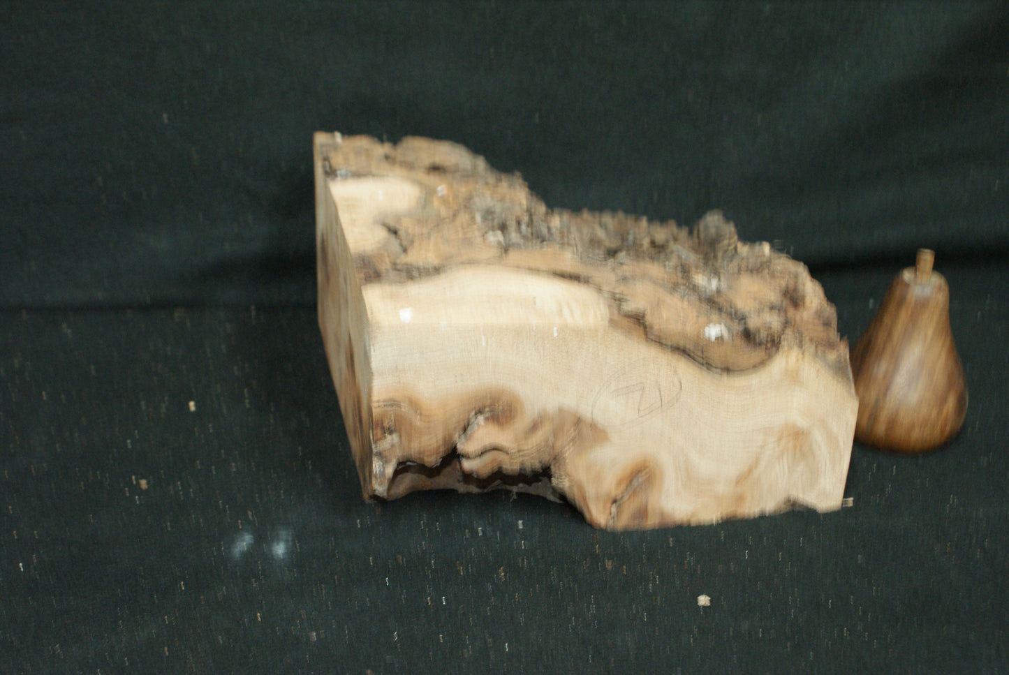 Elm Burr  8 L  x 8 W x 4 D Inches (12)