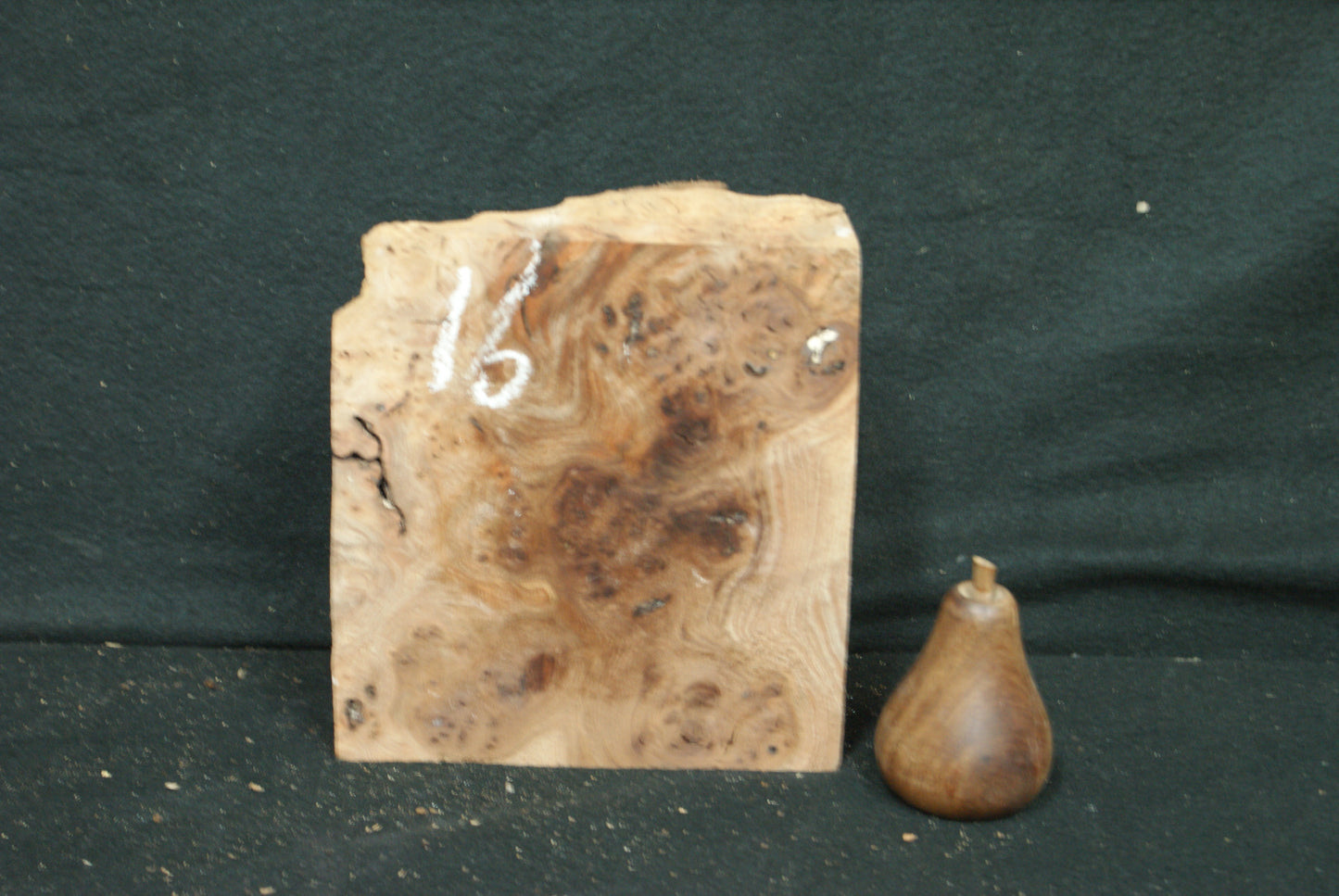 Elm Burr  8 L  x 7 W x 2 1/2 D Inches (16)