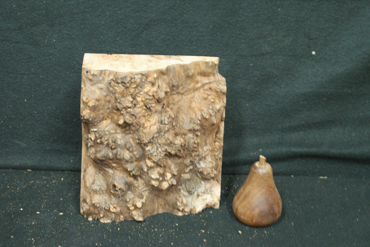 Elm Burr  8 L  x 7 W x 2 1/2 D Inches (16)