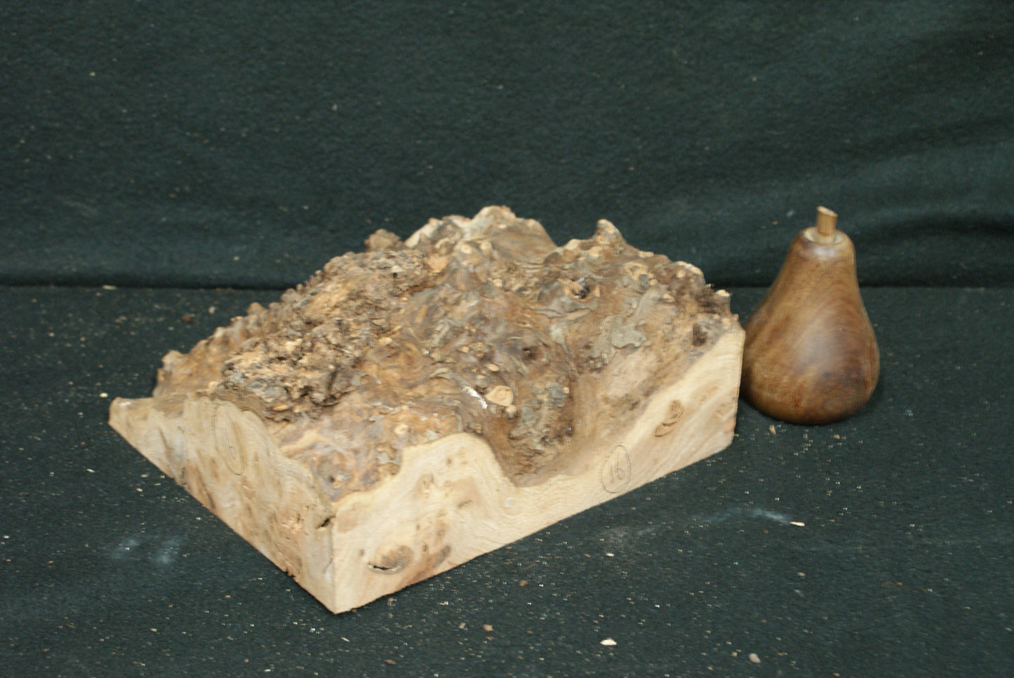 Elm Burr  8 L  x 7 W x 2 1/2 D Inches (16)