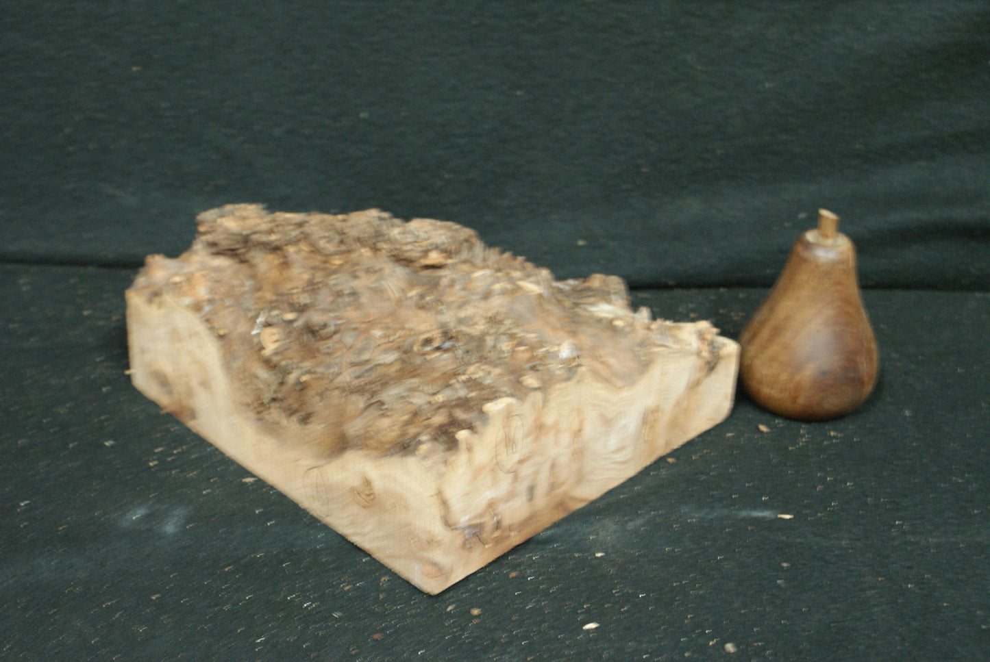 Elm Burr  8 L  x 7 W x 2 1/2 D Inches (16)