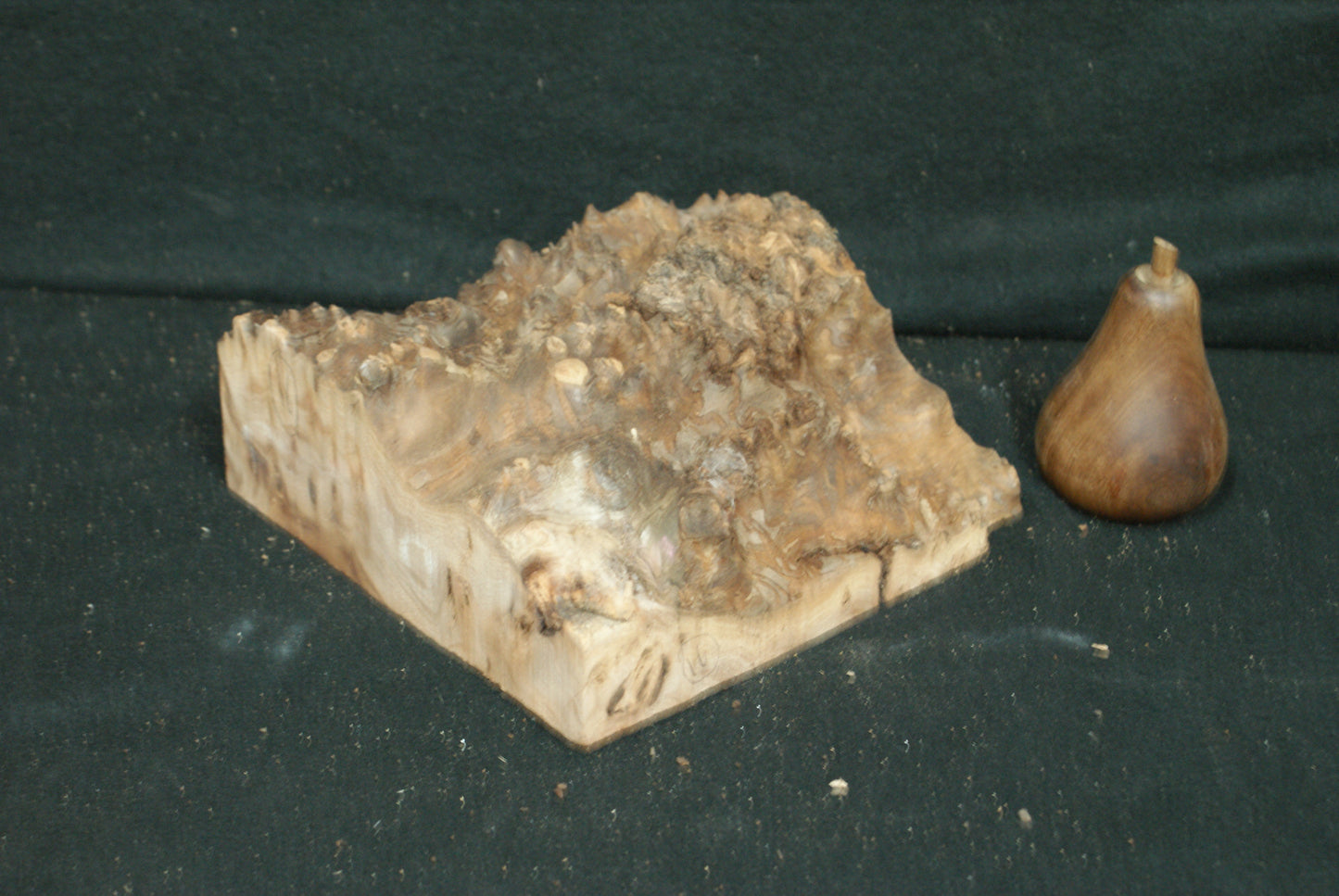 Elm Burr  8 L  x 7 W x 2 1/2 D Inches (16)