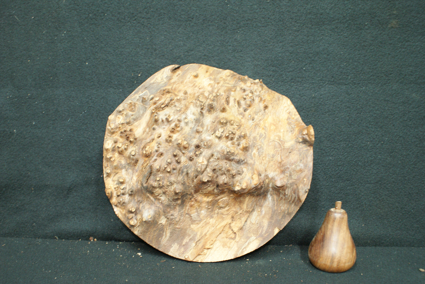 Elm Burr wood turning blanks, perfect for resin work (35)