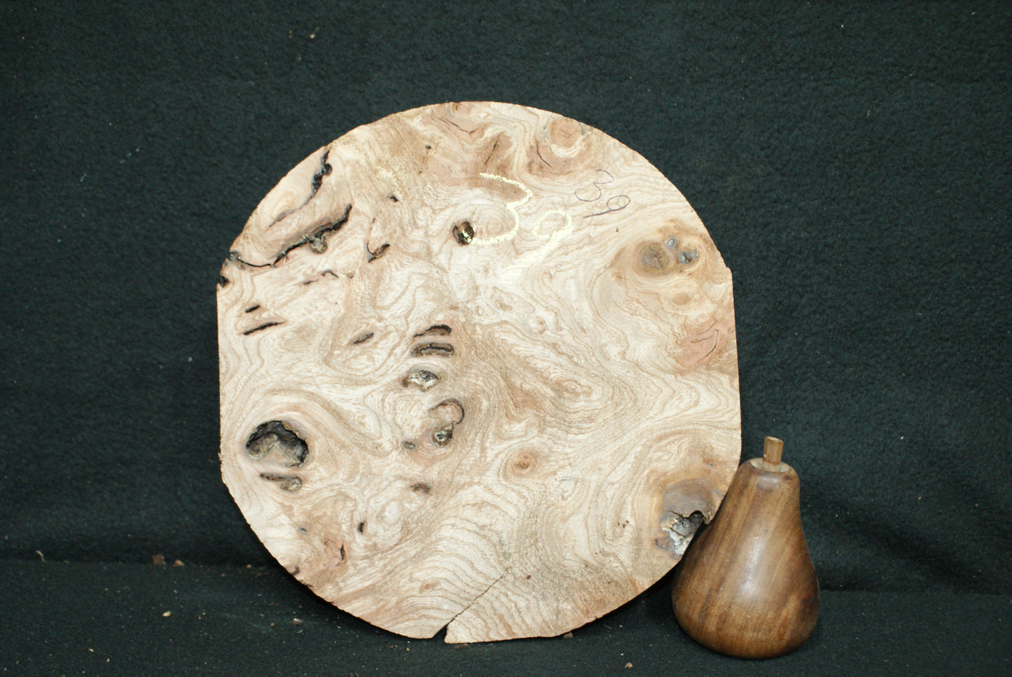 Elm Burr wood turning blanks, perfect for resin work (38)